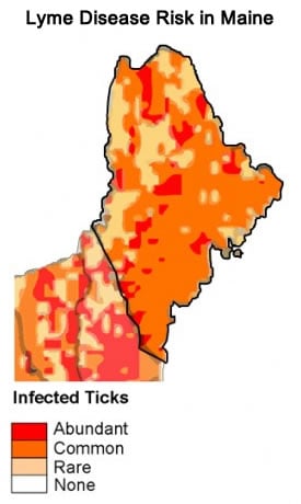 Heat map showing Lyme Disease risk areas in Maine